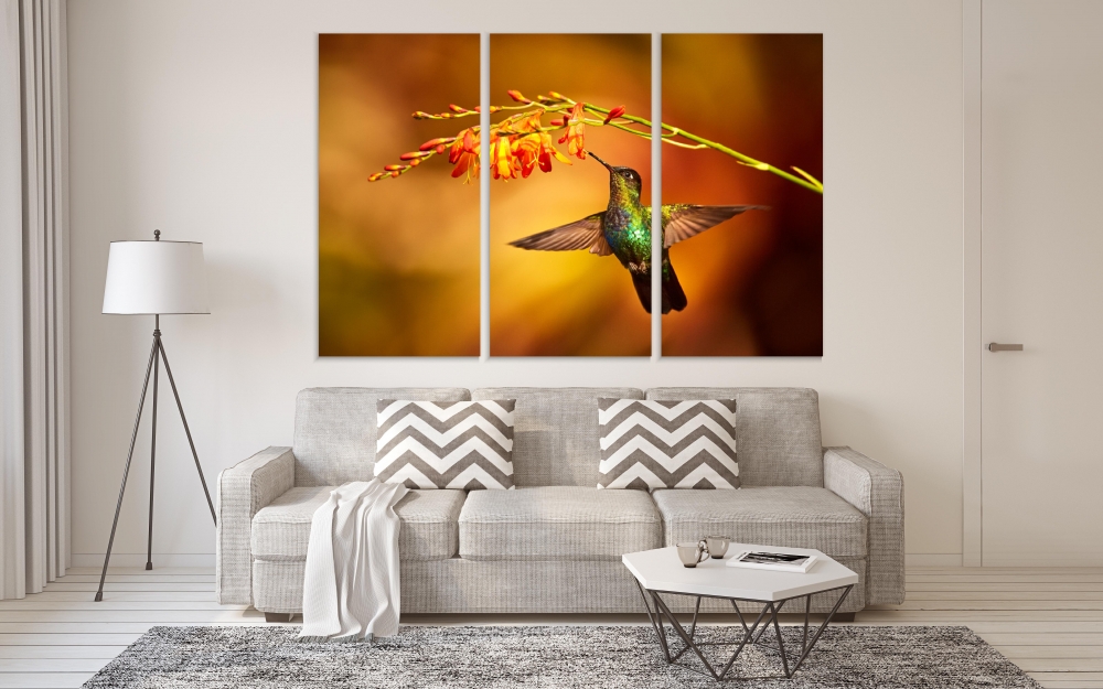 

Картина на холсте Модульные Модульная картина Magnificent Hummingbird 3 картины 25х50 см.