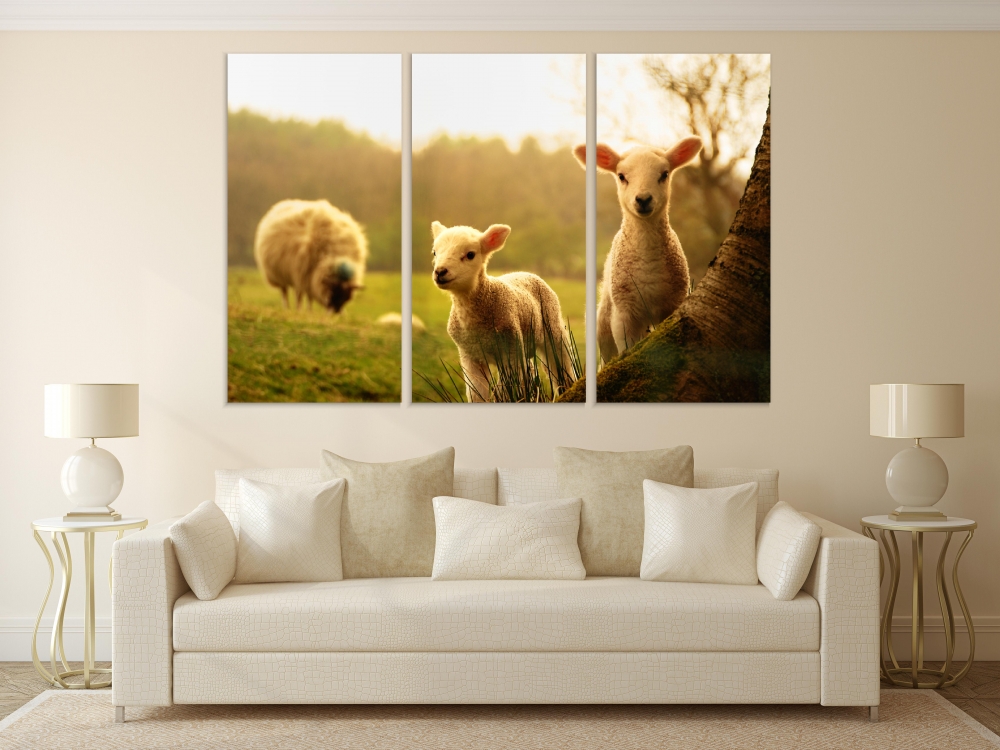 

Картина на холсте Модульные Модульная картина Cute Lambs 3 картины 70х140 см.
