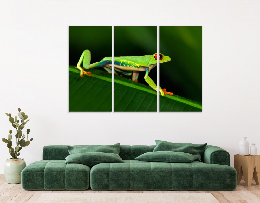 

Картина на холсте Модульные Модульная картина Red-Eyed Tree Frog 3 картины 70х140 см.