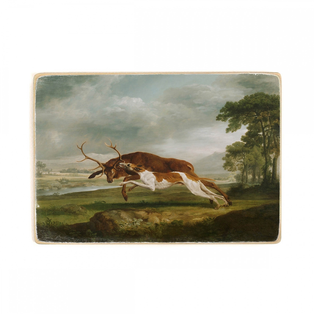 

Деревянный постер Искусство George Stubbs, English - Hound Coursing a Stag А2