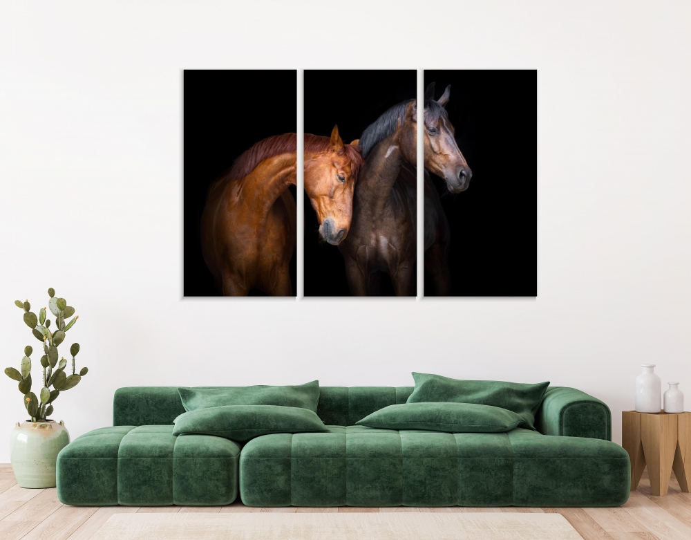 

Картина на холсте Модульные Модульная картина Horse Love 3 картины 40х80 см.