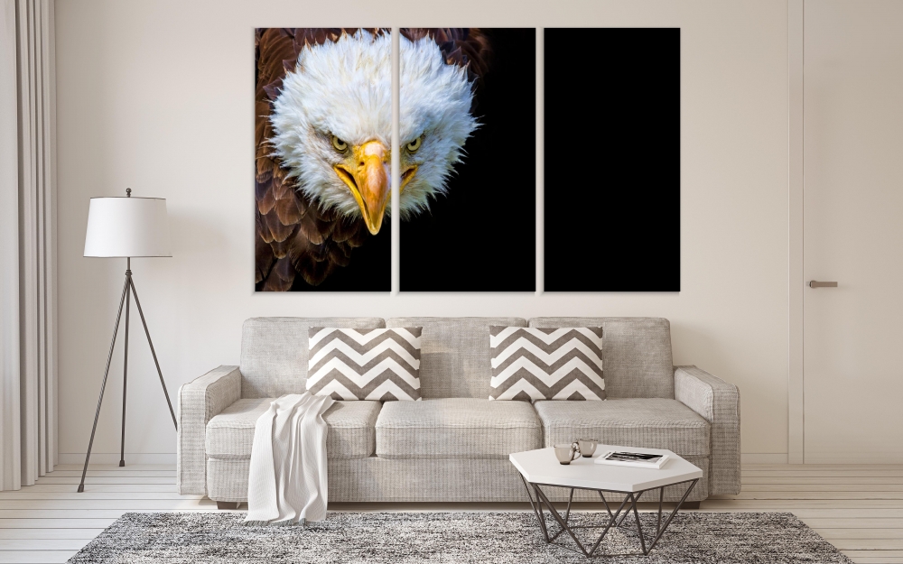 

Картина на холсте Модульные Модульная картина Bald Eagle 3 картины 25х50 см.