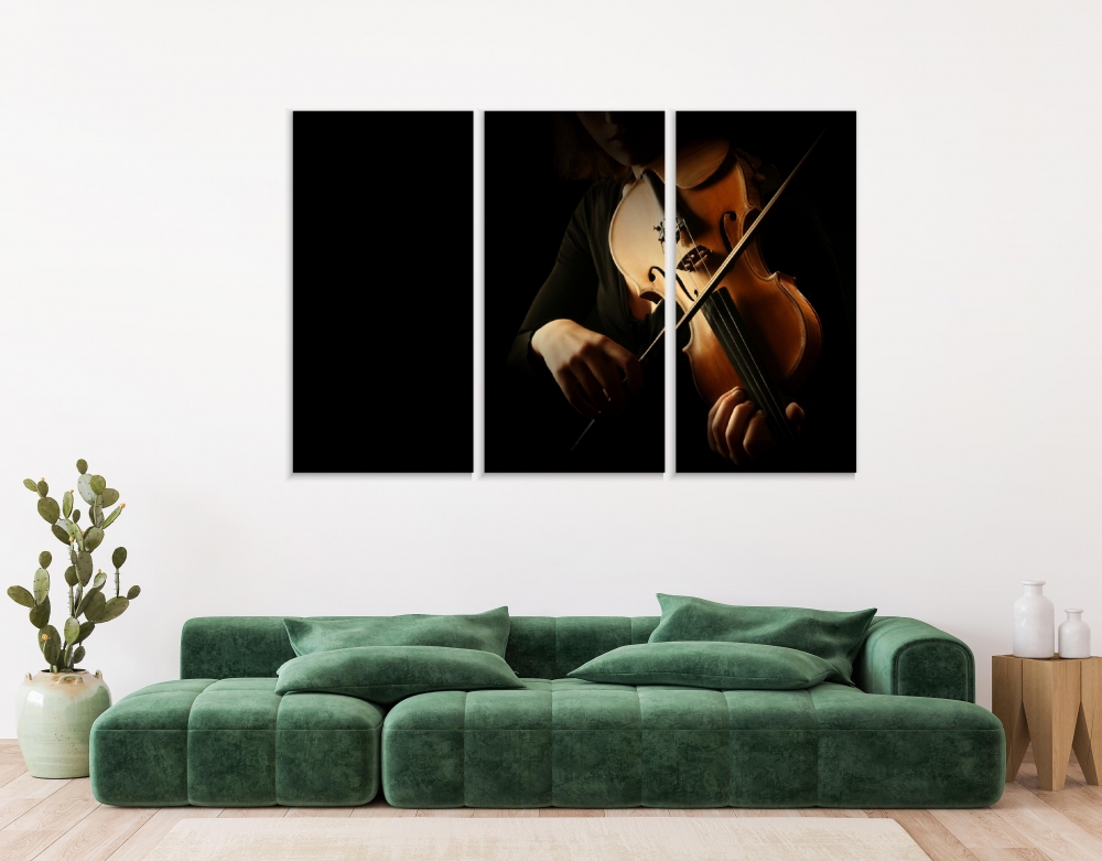 

Картина на холсте Модульные Модульная картина Violinist Playing 3 картины 40х80 см.