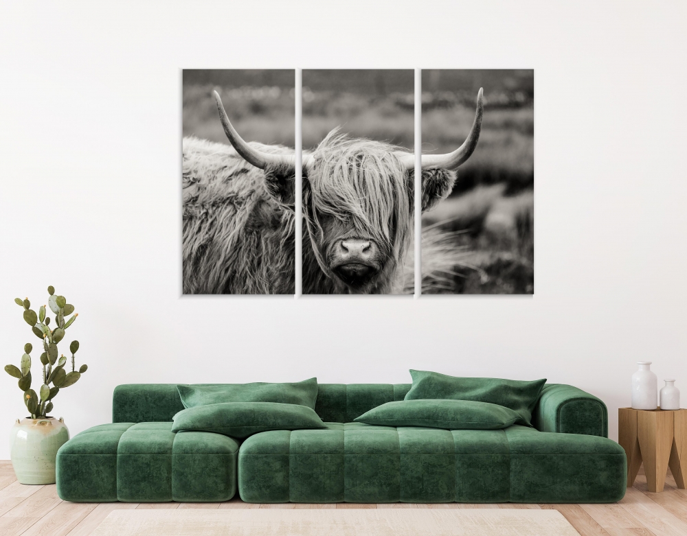 

Картина на холсте Модульные Модульная картина Scottish Highland Cow 3 картины 45х90 см.