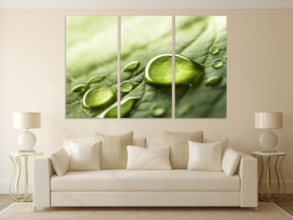 

Картина на холсте Модульные Модульная картина Raindrops On A Leaf 3 картины 70х140 см.
