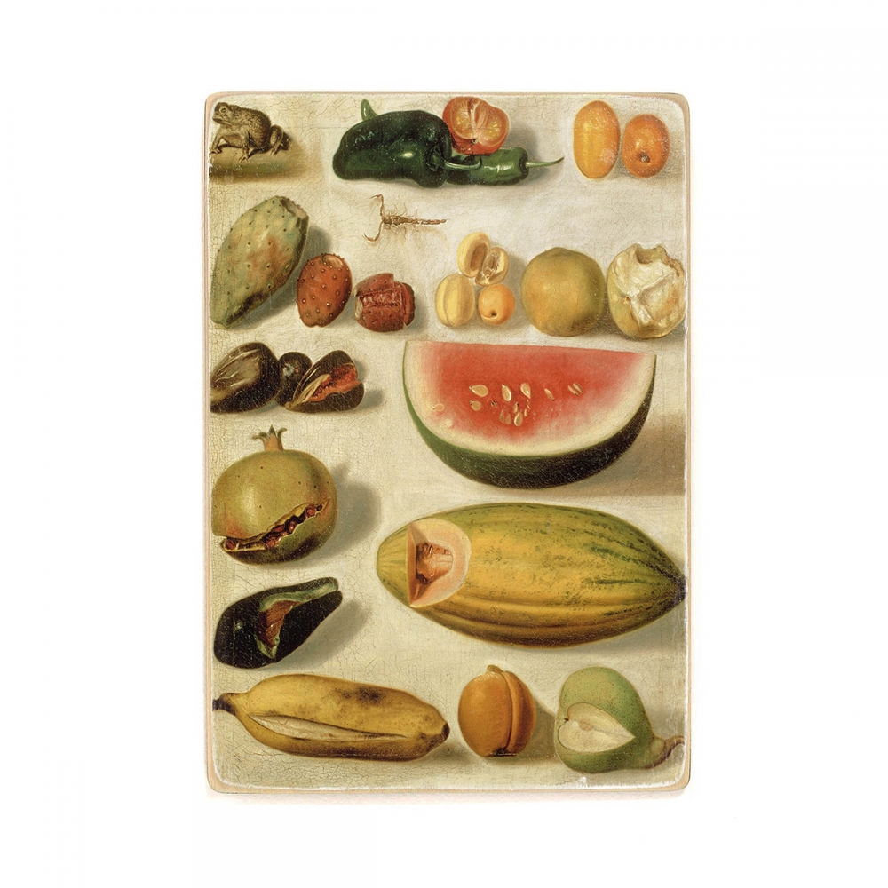 

Деревянный постер Искусство Hermenegildo Bustos - Still life with fruit (with scorpion and frog) 1874 А2