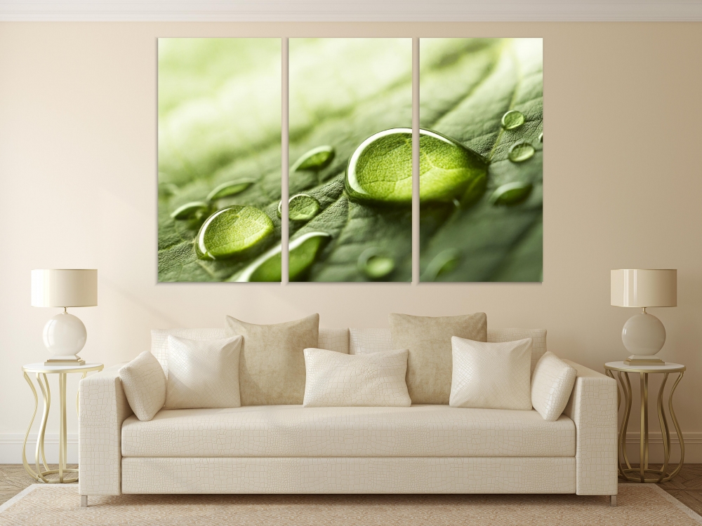 

Картина на холсте Модульные Модульная картина Raindrops On A Leaf 3 картины 45х90 см.