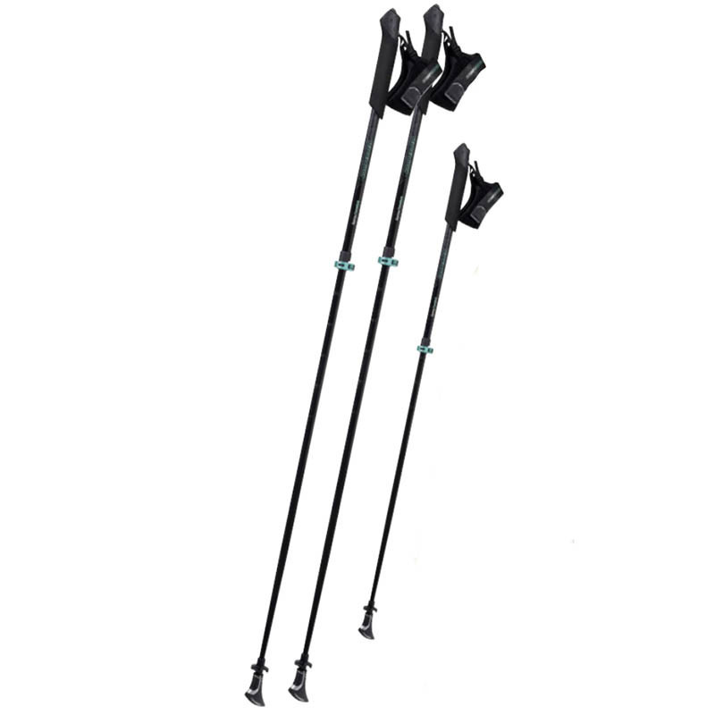 

Треккинговые палки Komperdell Sarma Powerlock Black/Mint (1842387-10)