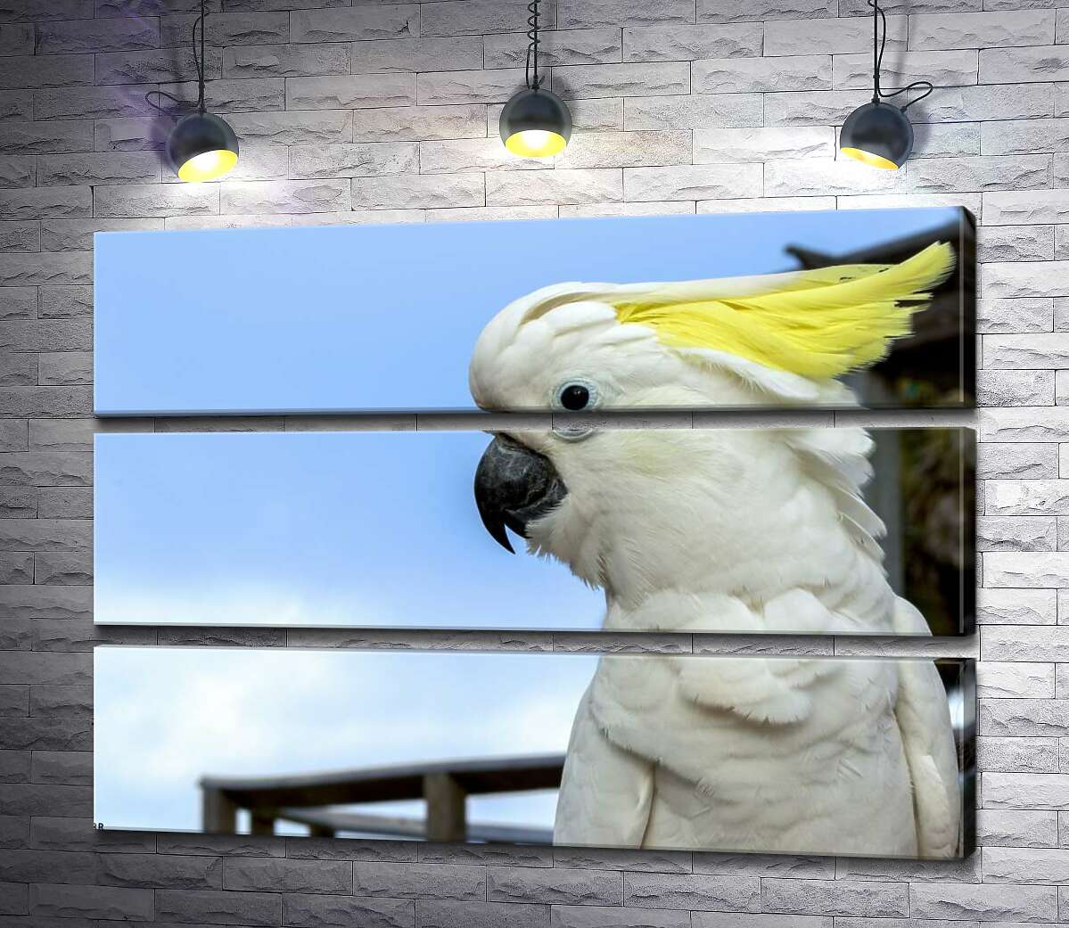 

Модульная картина ArtPoster Белый попугай какаду с желтой челкой 130x93 см Модуль №13