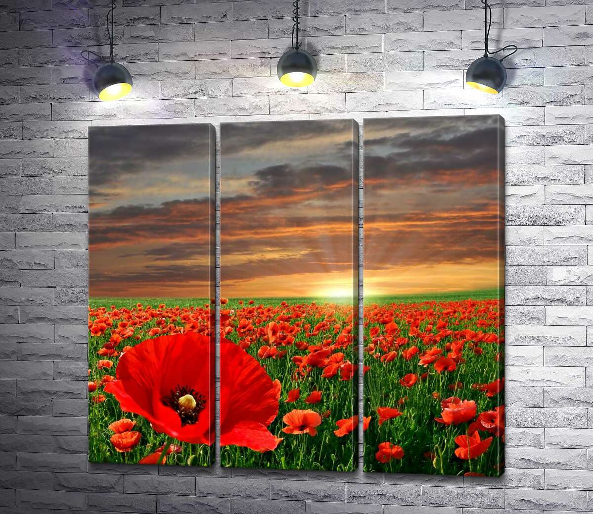 

Модульная картина ArtPoster Вечернее солнце садится за бескрайним полем маков 132x122 см Модуль №11