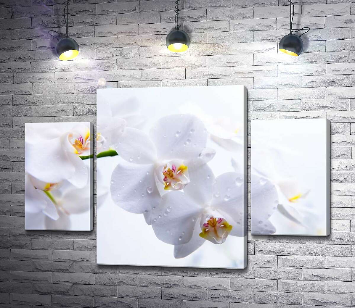 

Модульная картина ArtPoster Бриллианты капель воды на хрупких лепестках орхидей 100x69 см Модуль №7