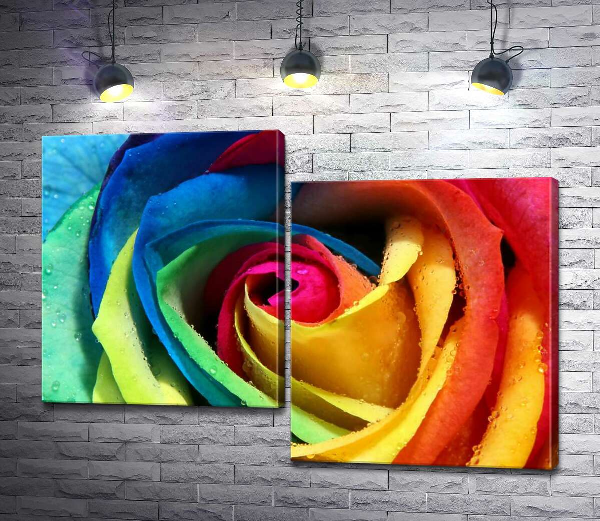 

Модульная картина ArtPoster Бутон радужной розы 100x72 см Модуль №5