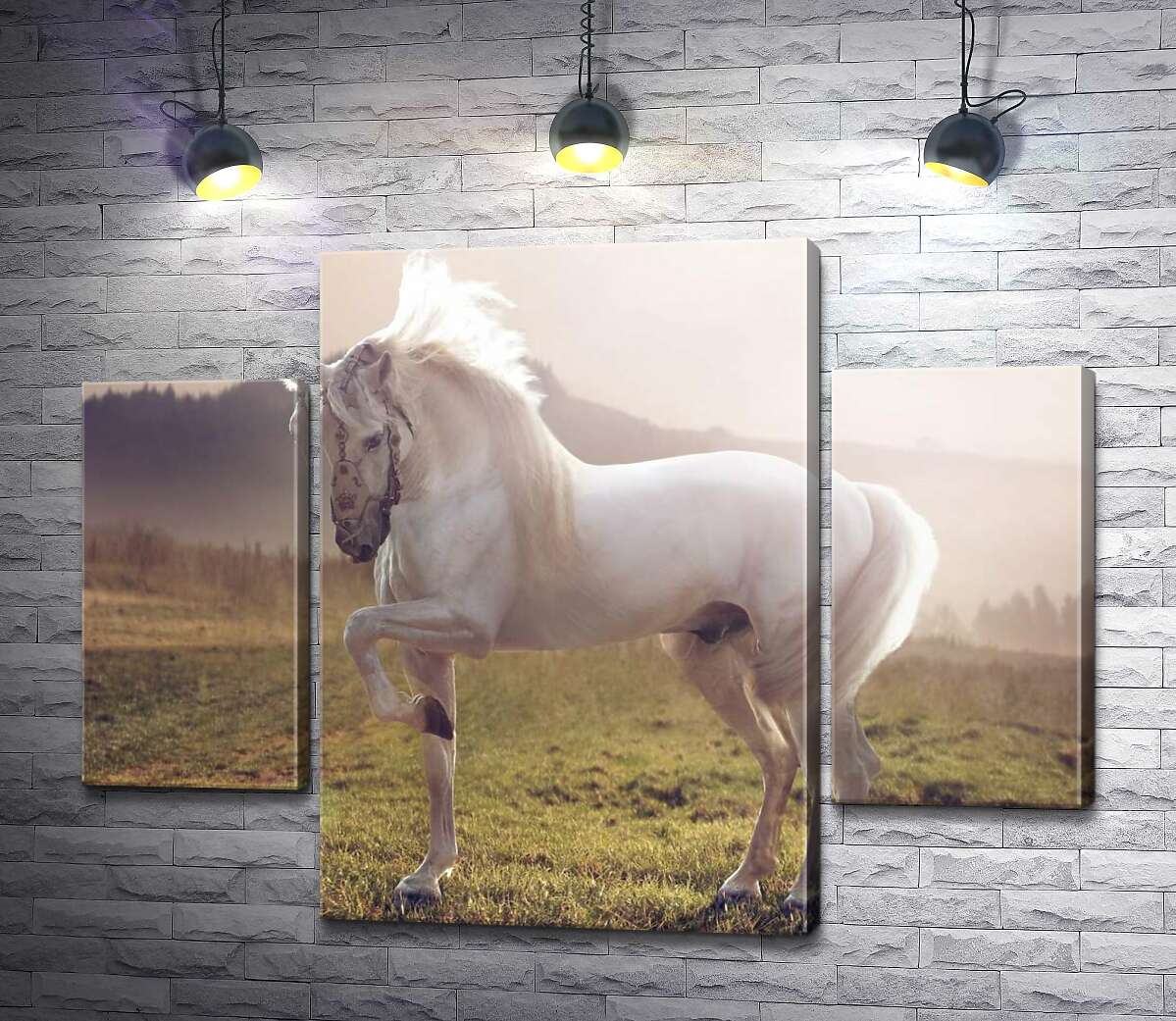 

Модульная картина ArtPoster Белый красавец конь среди зеленого поля 80x63 см Модуль №7