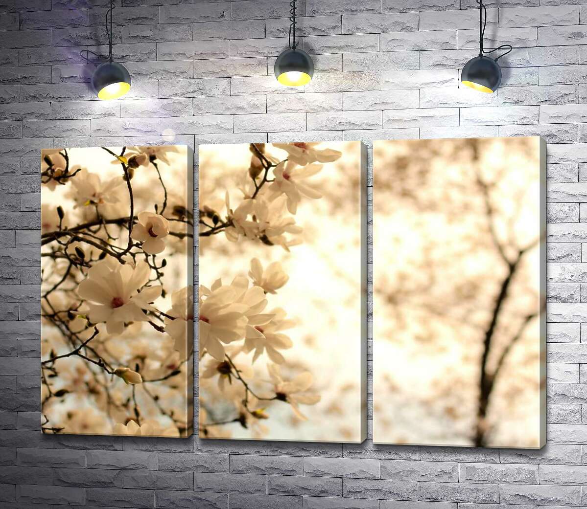 

Модульная картина ArtPoster Весна пришла в сад пышнолистых магнолий 60x40 см Модуль №11