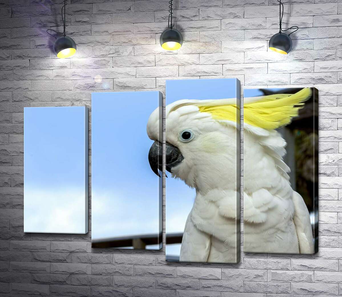 

Модульная картина ArtPoster Белый попугай какаду с желтой челкой 132x93 см Модуль №21