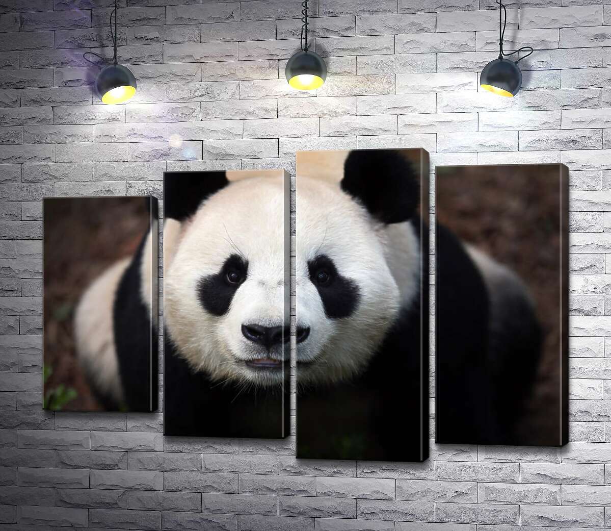 

Модульная картина ArtPoster Внимательный взгляд милой панды 80x56 см Модуль №21