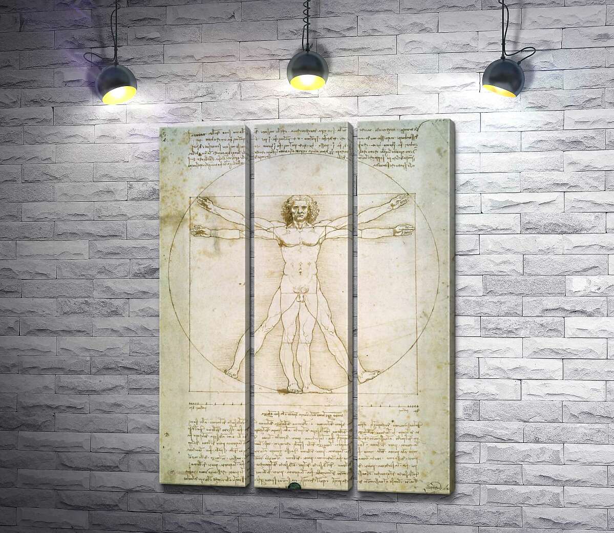 

Модульная картина ArtPoster Витрувианский человек (Homo vitruvianus) – Леонардо да Винчи (Leonardo da Vinci) 102x140 см Модуль №11