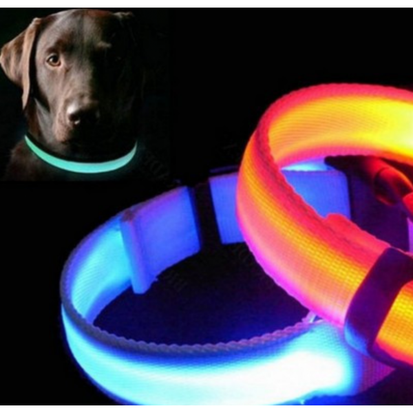 Светящийся ошейник для собак (3 режима) Glowing Dog Collar Голубой М (MAX 45 sm)