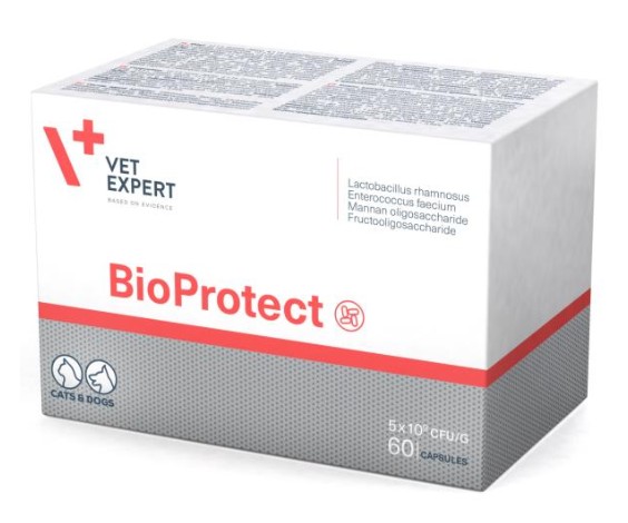 

Добавка БіоПротект (BioProtect) VetExpert собак и кошек с дисбалансом микрофлоры желудочно-кишечного тракта 60 капсул (58440)