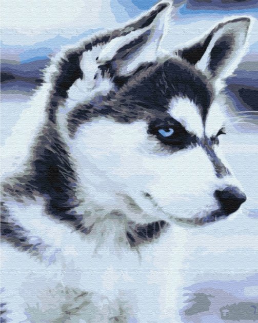 

Картина для рисования по номерам Brushme Щенок Хаски 40х50см (BS21714)
