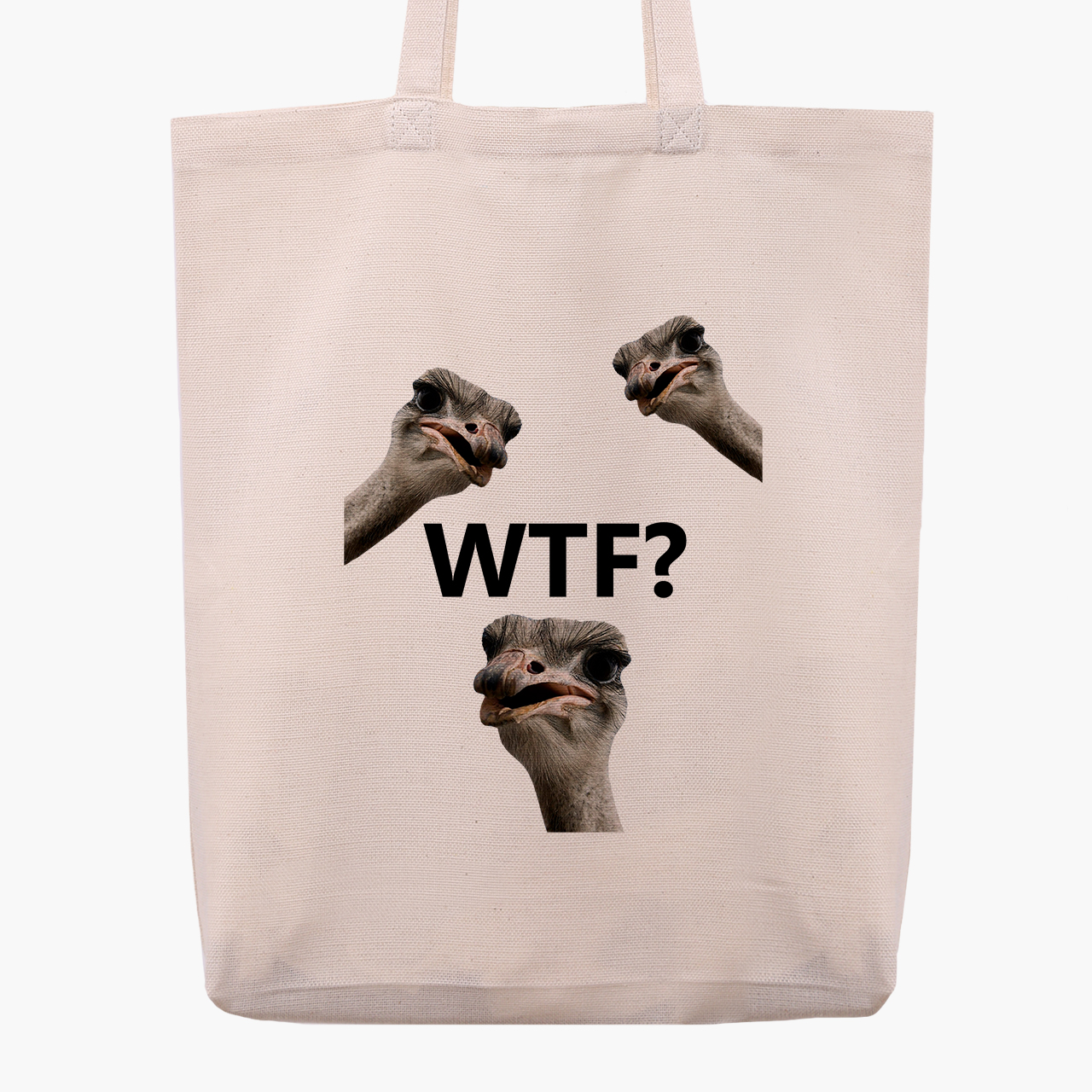 

Эко сумка шоппер Птицы СВЭГ (Birds SWAG) (9227-1540) 41x35x8.5 см Бежевый