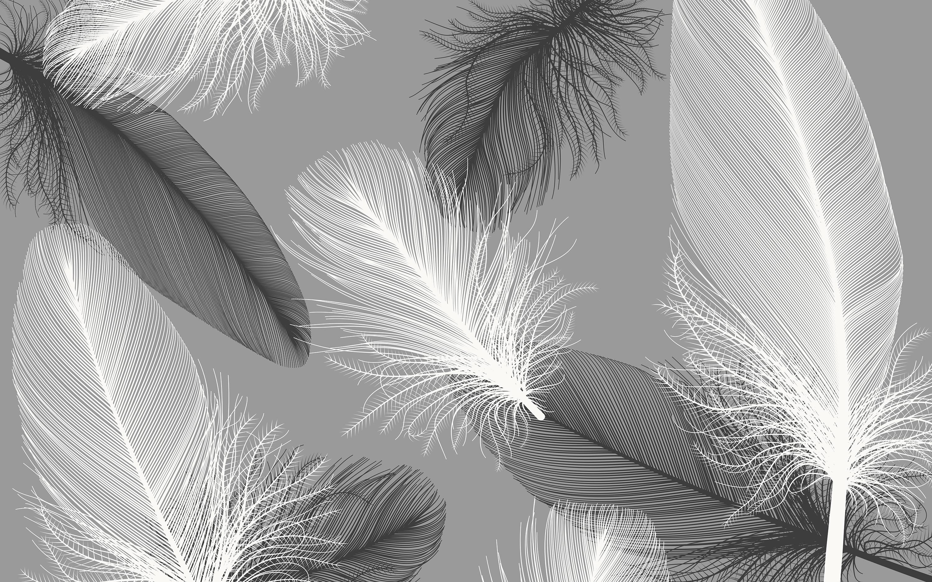 

Виниловые Фотообои Walldeco Черно-белые перья 300x200 Диамант