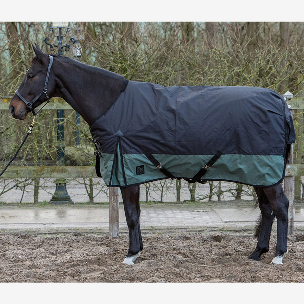 

Попона зимняя Harrys Horse "Thor 200 гр" Черный с хаки 145