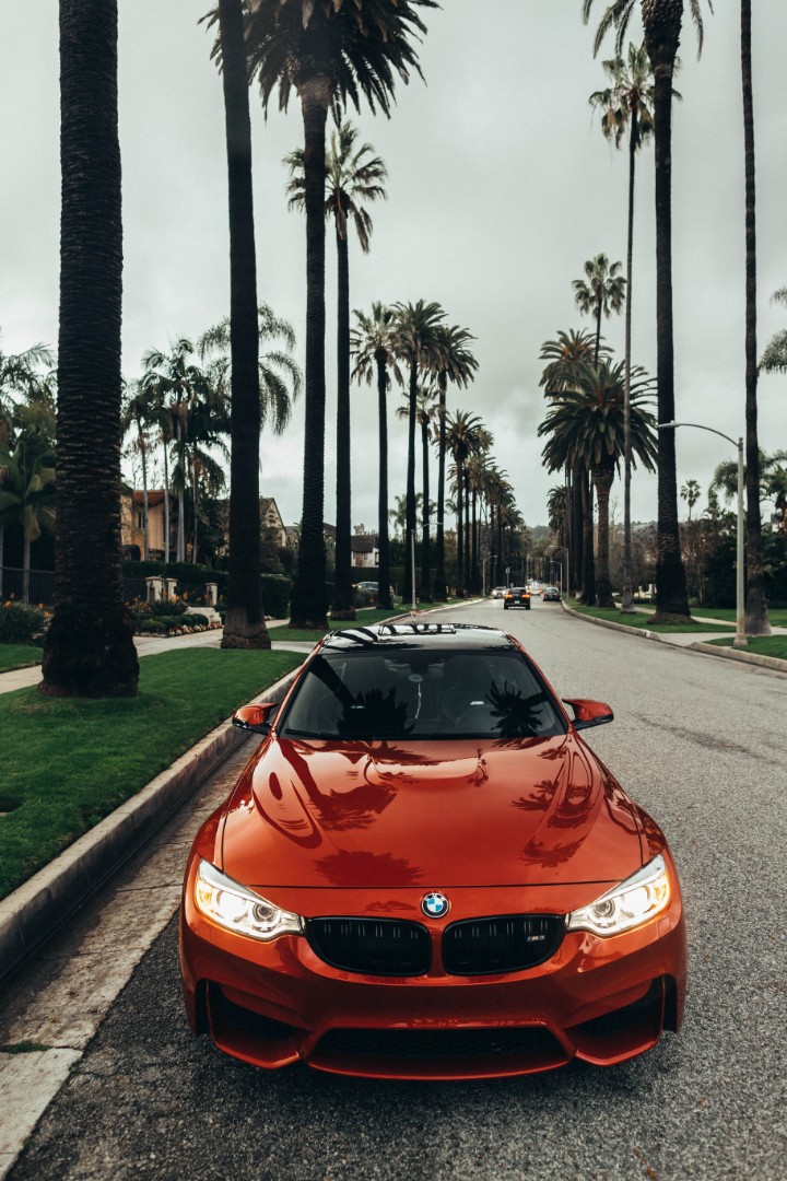 

Картина по номерам Brushme BMW на улице Калифорнии 40 х 50 см (BS52467)
