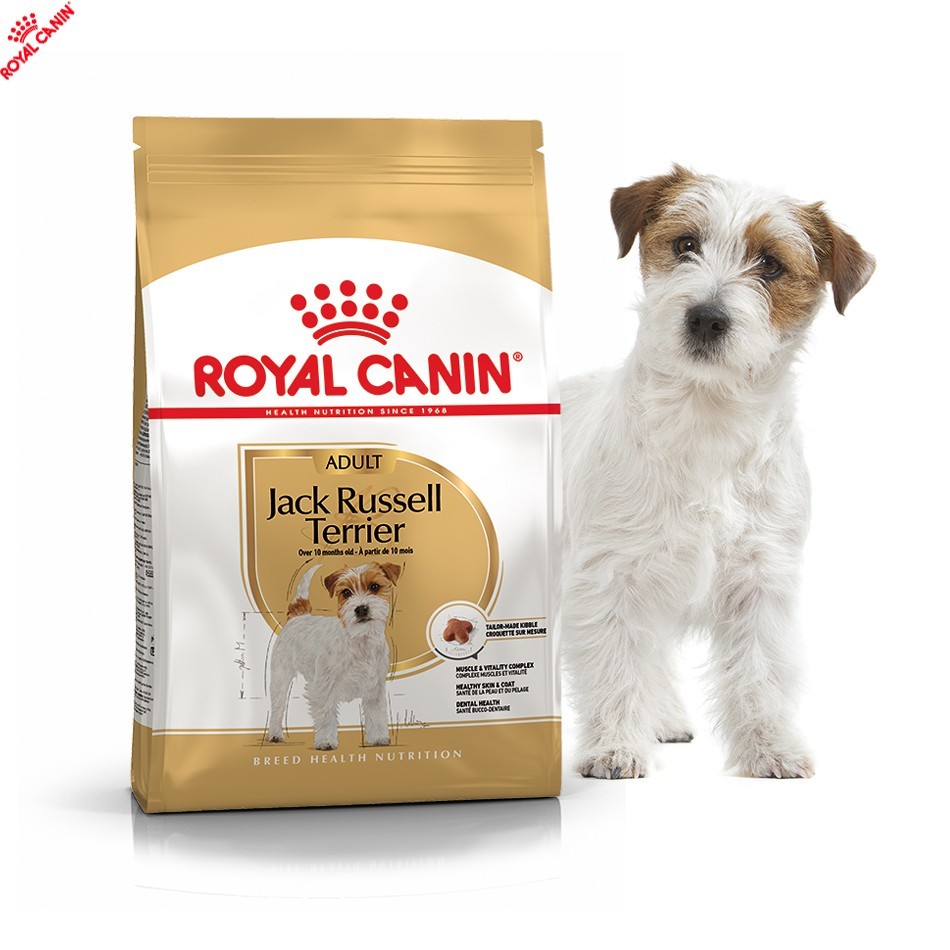 

Сухой полнорационный корм Royal Canin Jack Russell Terrier - сухой корм для Джек-рассел-терьеров от 10 мес. 3 кг (21000059)