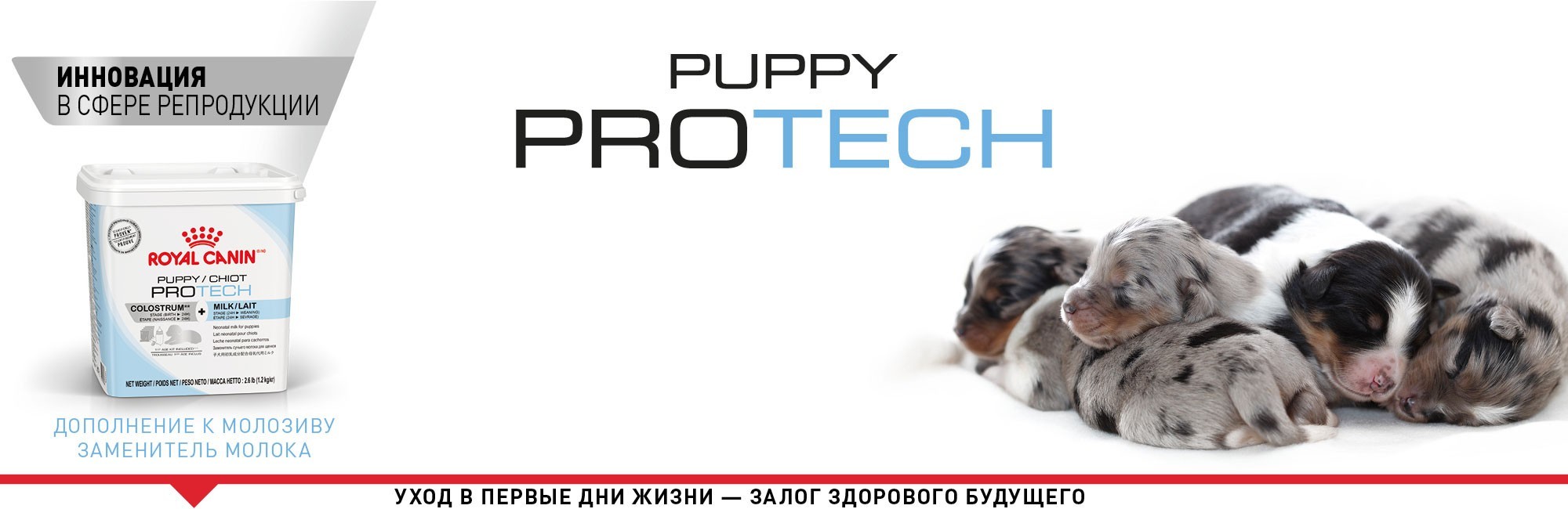 Заменитель молока для щенков Royal Canin PUPPY PRO TECH - дополнение к  молозиву заменитель молока для новорожденных щенков 300 гр. (23390039) от  продавца: MDShop – в интернет-магазине ROZETKA | Купить в Украине: