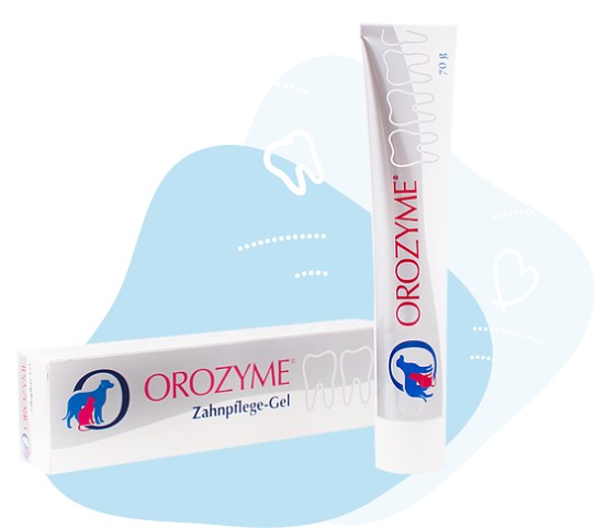 

Гель для борьбы с проблемами зубов и десен Orozyme (Орозим) 70 мл