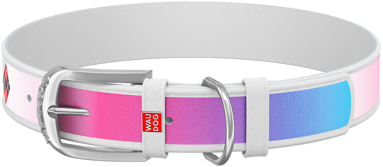 

Ошейник для собак кожаный Collar WAUDOG Design с QR паспортом, рисунок "Харли Квинн", M, Ш 20 мм, Дл 29-38 см (0020-1002-15)