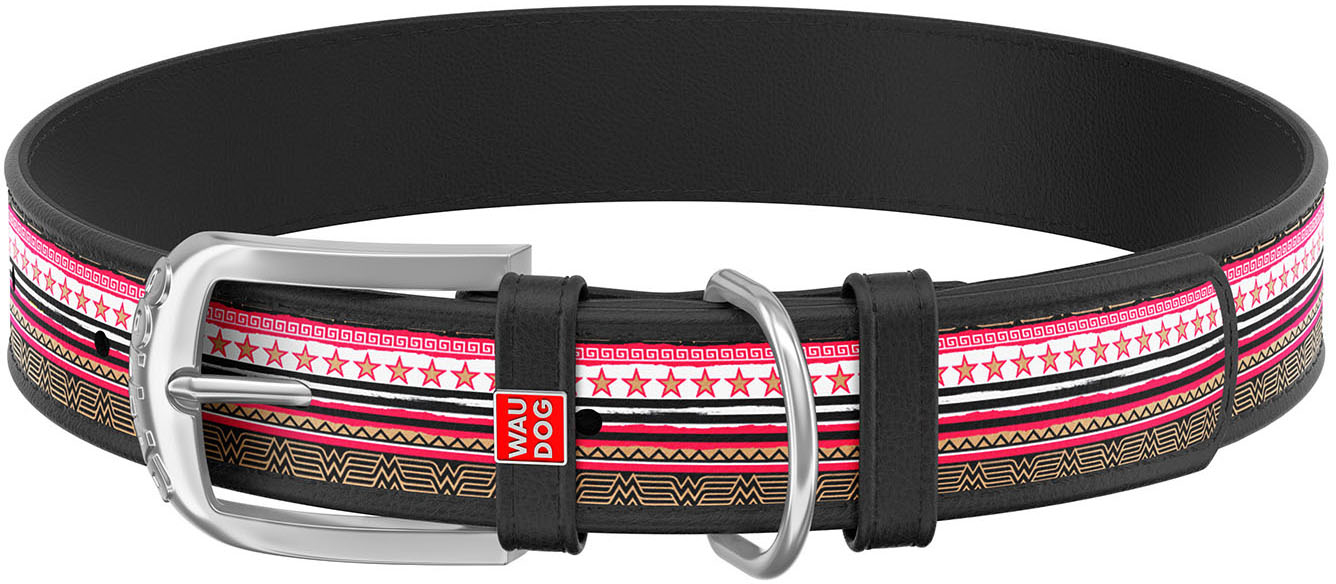 

Ошейник для собак кожаный Collar WAUDOG Design с QR паспортом, рисунок "Чудо-женщина", M, Ш 20 мм, Дл 29-38 см (0020-1009-01)