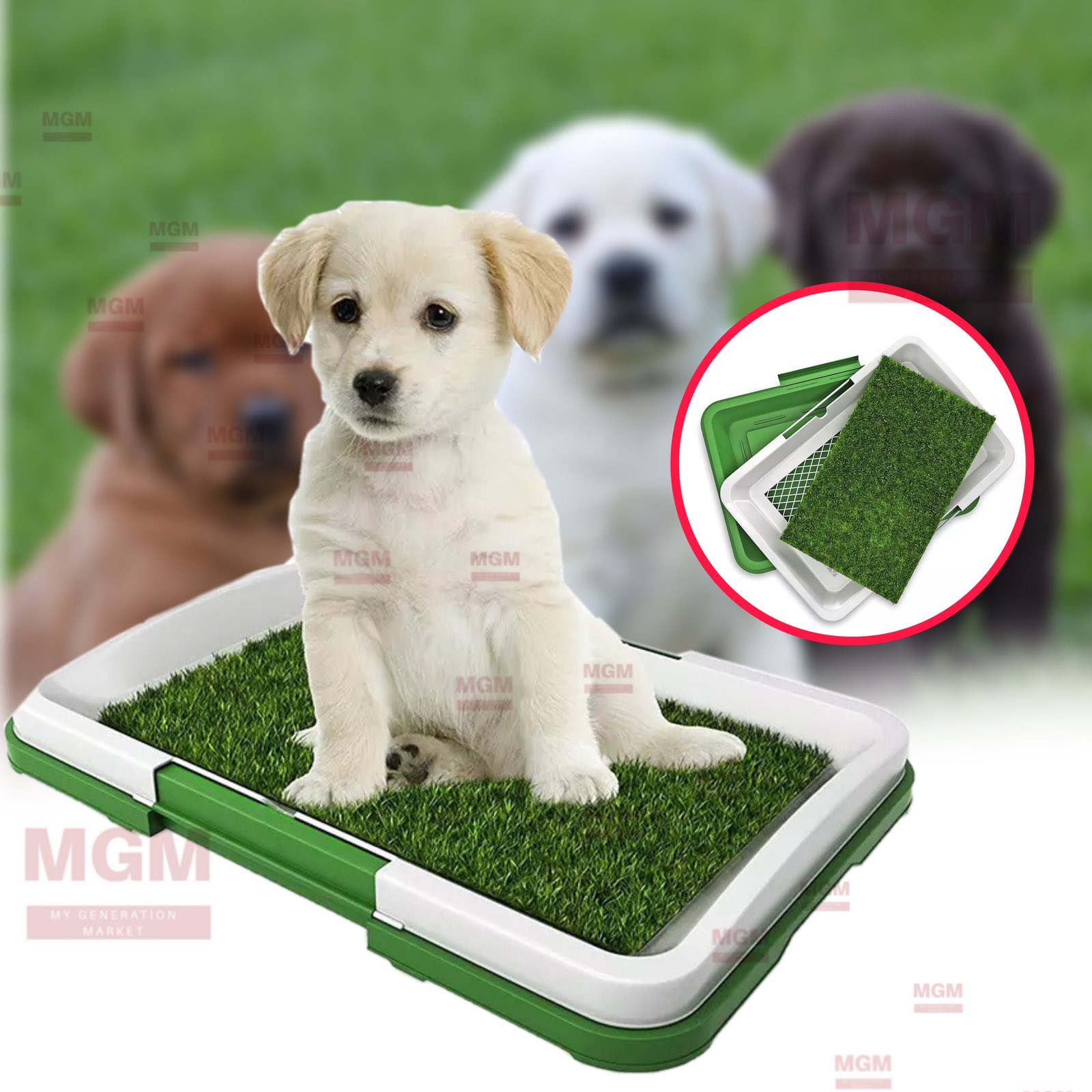 Открытый туалет поддон для собак, щенков PUPPY POTTY PAD - домашний горшок  лоток для щенка - тренировка щенка к туалету Белый от продавца: My  Generation Market – в интернет-магазине ROZETKA | Купить