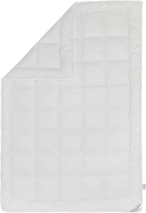 

Одеяло SoundSleep Dream Лебяжий пух Зимнее 172х205 см