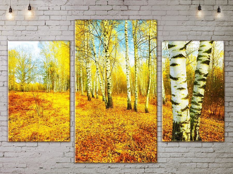 

Модульная картина ArtStar ADNA0066 размер 70 х 105 см