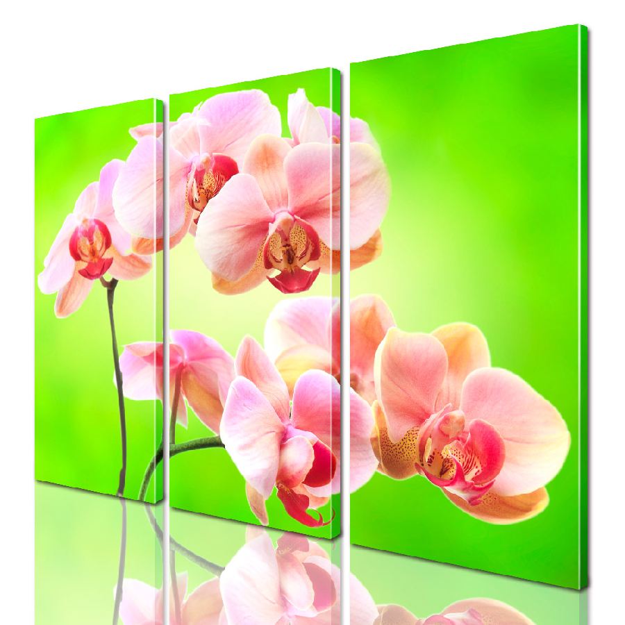 

Модульная картина ArtStar цветы Орхидея ADFL0176 размер 95 х 120 см