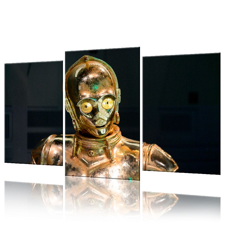 

Модульная картина ArtStar ADFM0025 размер 70 х 105 см