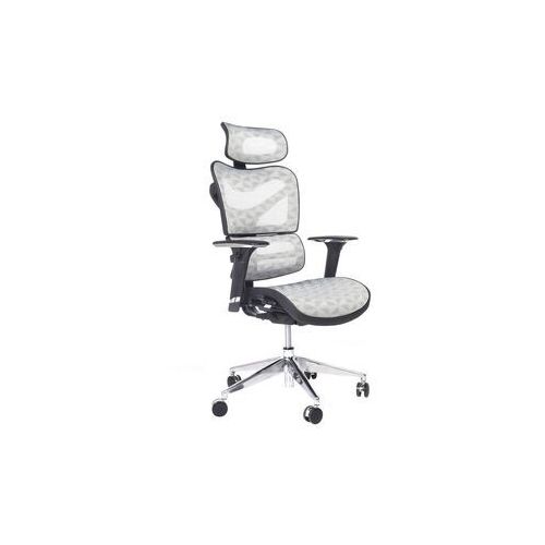 

Кресло Ergonomiczny Fotel Biurowy Ergo 600 Szary