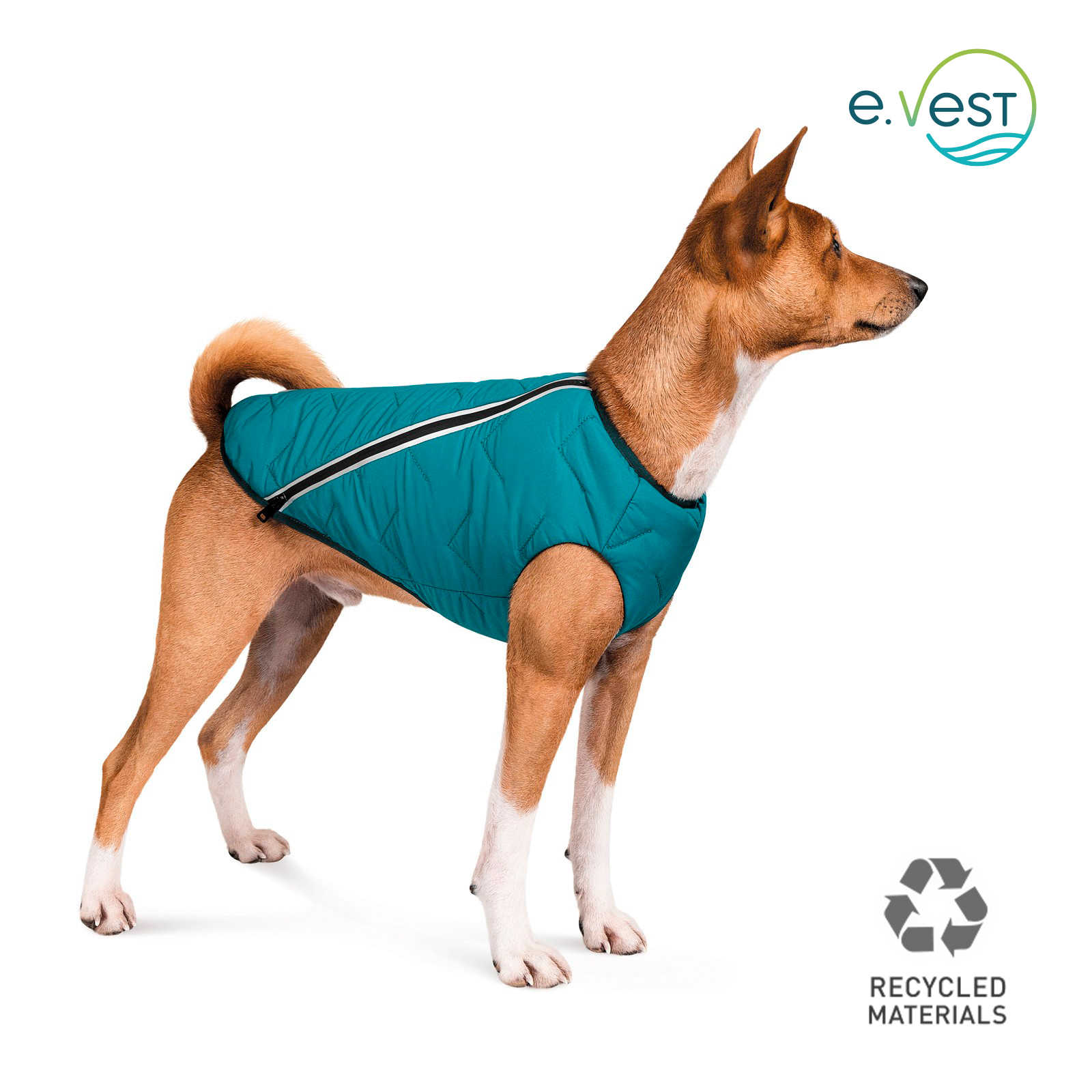 

Жилетка для собак Pet Fashion E.Vest S-M (бірюзовий)