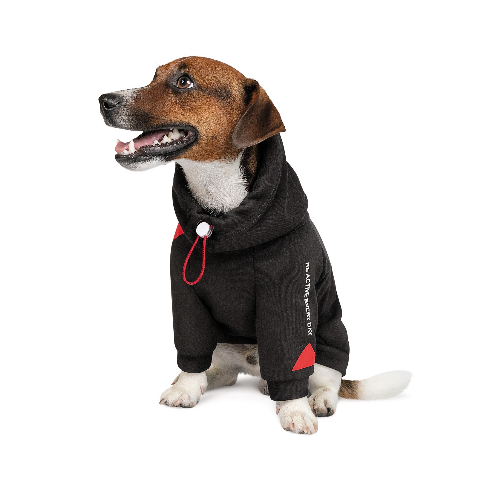 

Худі для собак Pet Fashion «Snoodie» M-2 (чорний)