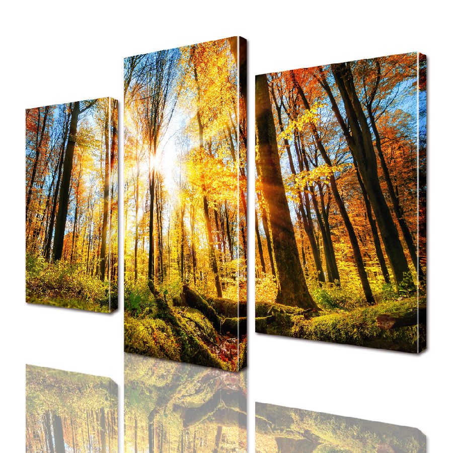 

Модульная картина ArtStar ADNA0026 размер 120 х 180 см