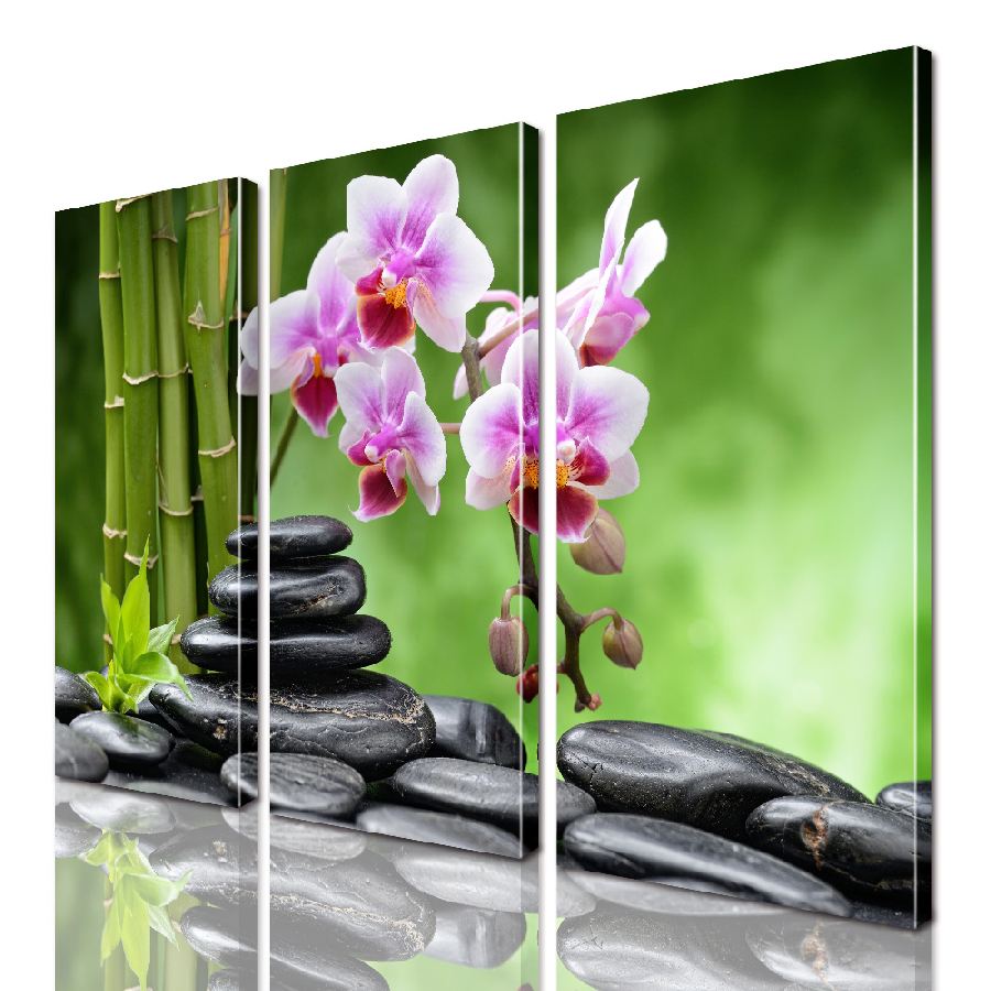 

Модульная картина ArtStar цветы Орхидея ADFL0174 размер 150 х 180 см