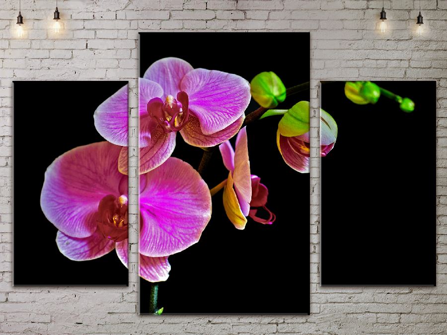 

Модульная картина ArtStar цветы Орхидея ADFL0065 размер 120 х 180 см