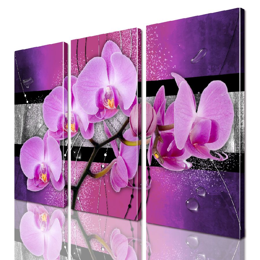 

Модульная картина ArtStar цветы Орхидея ADFL0139 размер 150 х 180 см