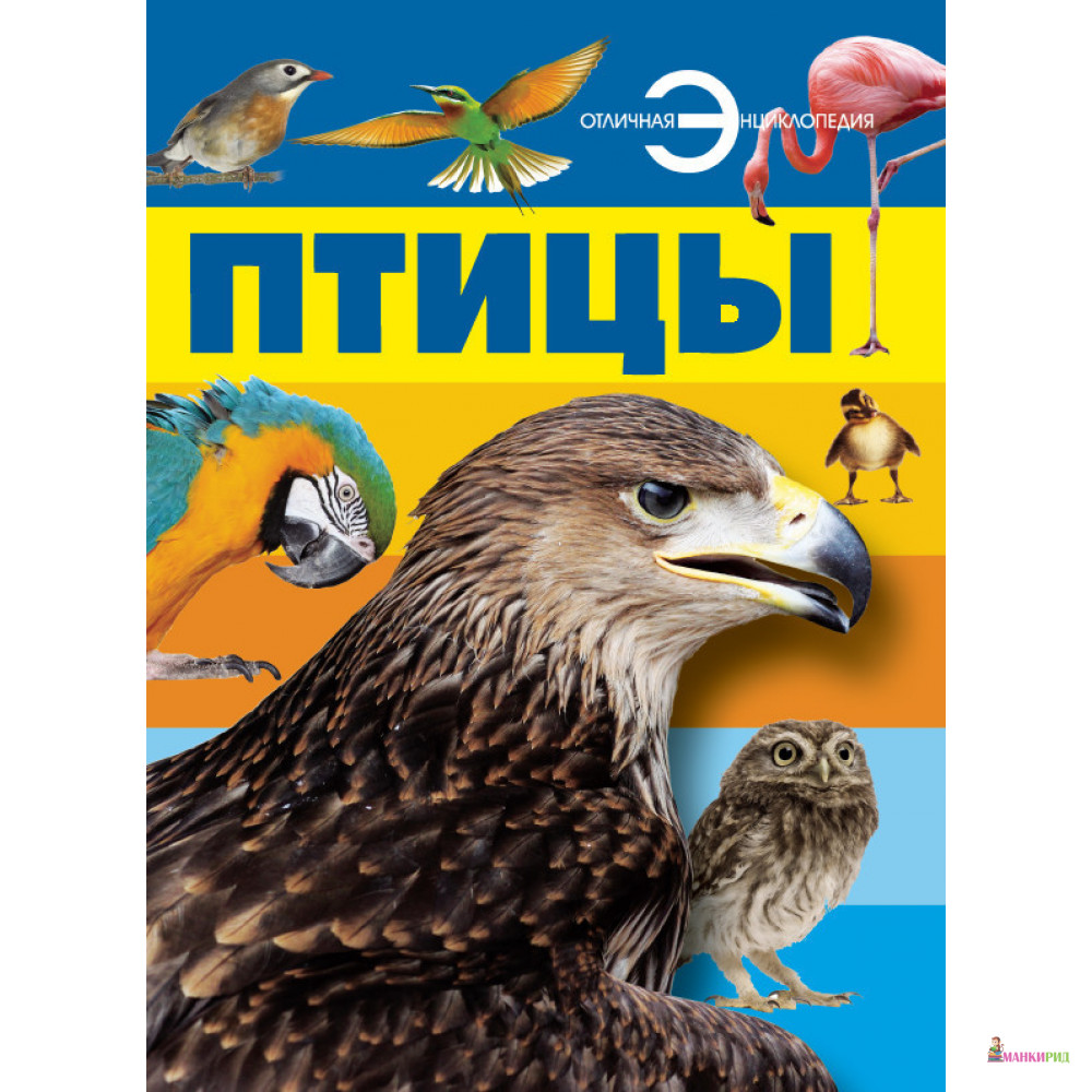 

Птицы - А. А. Спектор - Харвест - 772416