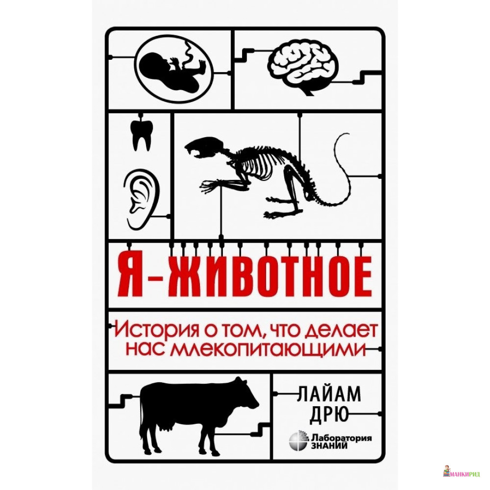 

Я - животное. История о том, что делает нас млекопитающими - Лайам Дрю - Лаборатория знаний - 829963