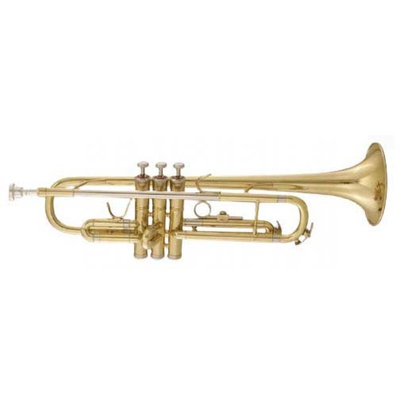 

Труба Си Maxtone TTC30L (TTC1C)
