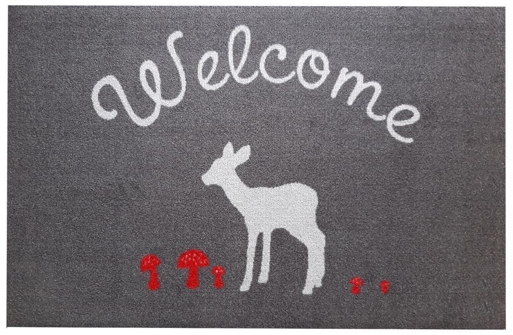

Коврик IzziHome Ola Welcome 60x110