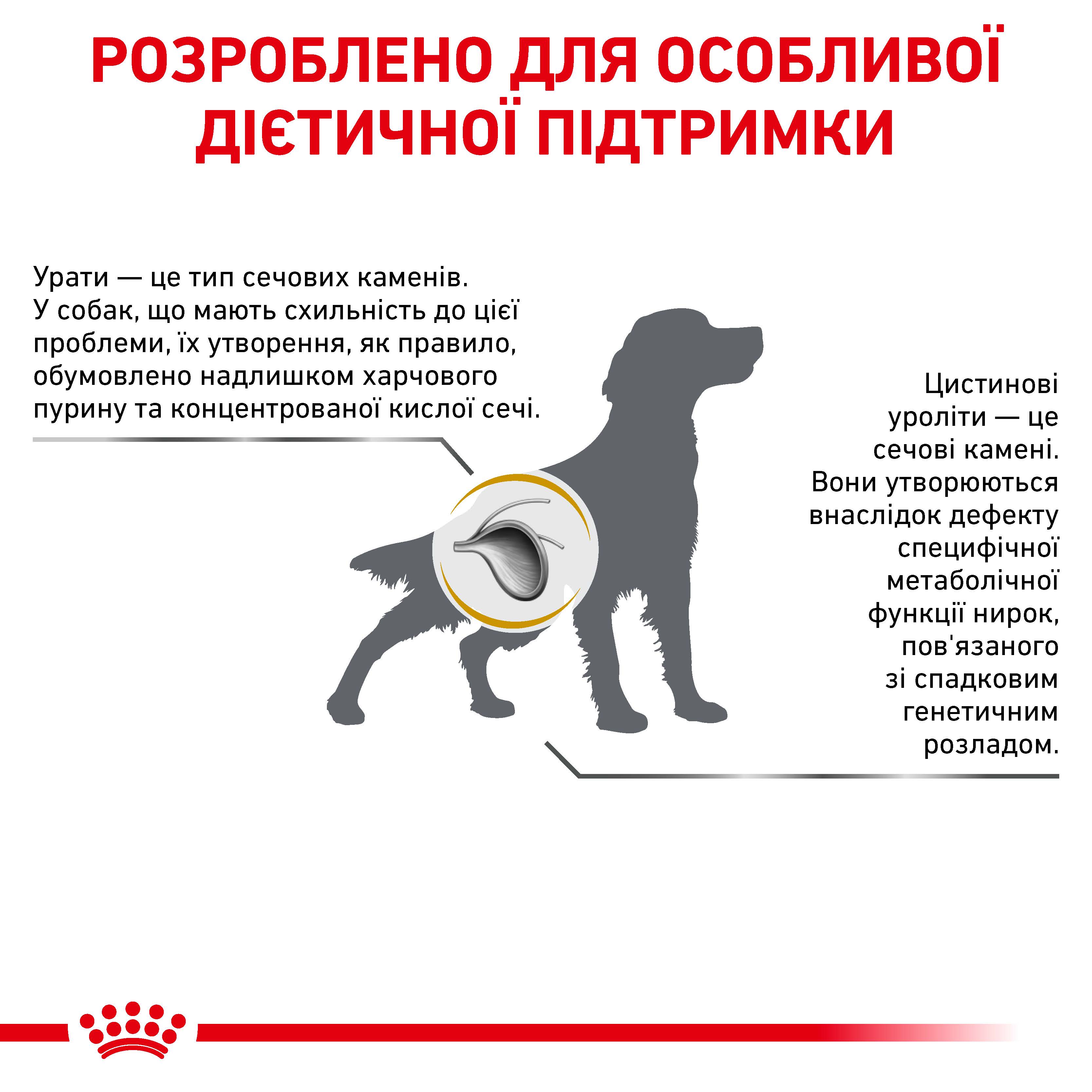 Royal Canin Urinary Uc Dog 14